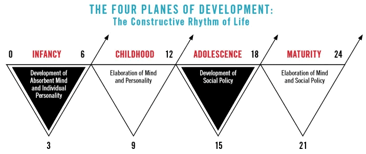 The Four Planes of Development
